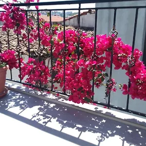 Hotell Casa Magnolia Boutique, Kusadası